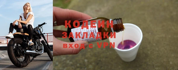 ГАЛЛЮЦИНОГЕННЫЕ ГРИБЫ Аркадак