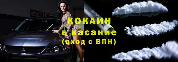 ГАЛЛЮЦИНОГЕННЫЕ ГРИБЫ Аркадак