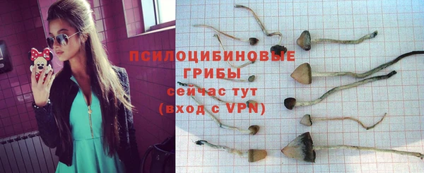 меф Армянск
