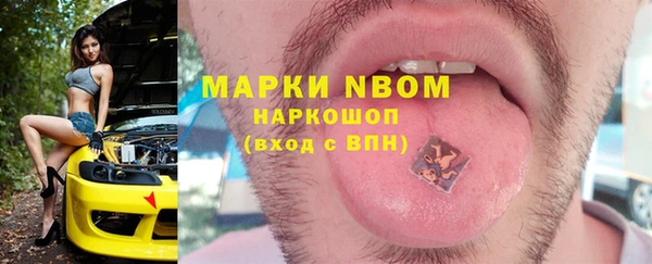 ГАЛЛЮЦИНОГЕННЫЕ ГРИБЫ Аркадак