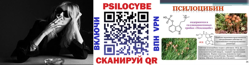 Псилоцибиновые грибы Psilocybe  купить  цена  Меленки 